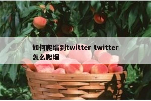 如何爬墙到twitter twitter怎么爬墙