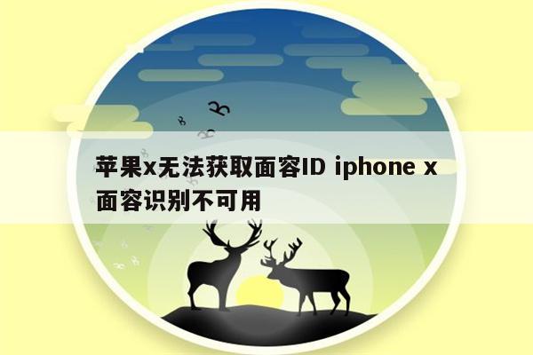 苹果x无法获取面容ID iphone x面容识别不可用