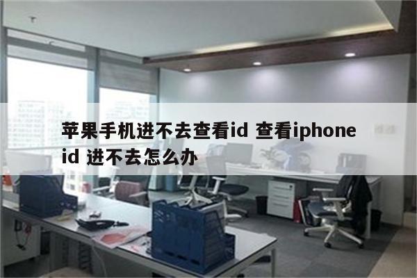 苹果手机进不去查看id 查看iphoneid 进不去怎么办