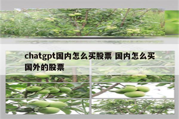 chatgpt国内怎么买股票 国内怎么买国外的股票