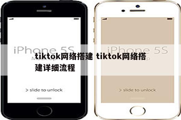 tiktok网络搭建 tiktok网络搭建详细流程