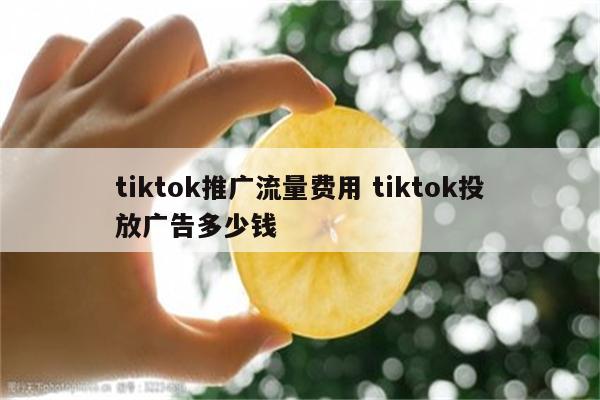 tiktok推广流量费用 tiktok投放广告多少钱