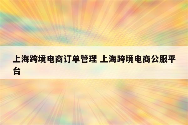 上海跨境电商订单管理 上海跨境电商公服平台