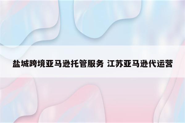 盐城跨境亚马逊托管服务 江苏亚马逊代运营