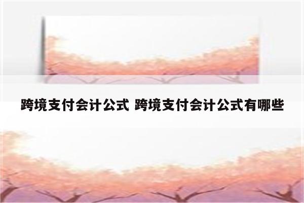 跨境支付会计公式 跨境支付会计公式有哪些