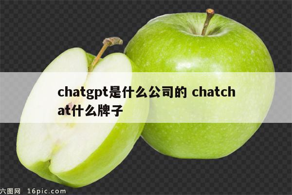 chatgpt是什么公司的 chatchat什么牌子