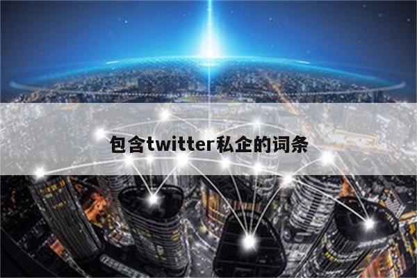 包含twitter私企的词条