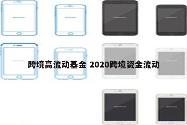 跨境高流动基金 2020跨境资金流动