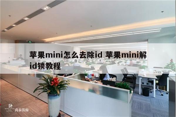 苹果mini怎么去除id 苹果mini解id锁教程