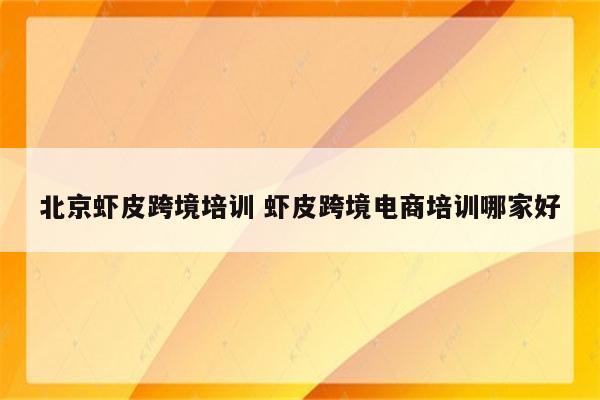 北京虾皮跨境培训 虾皮跨境电商培训哪家好