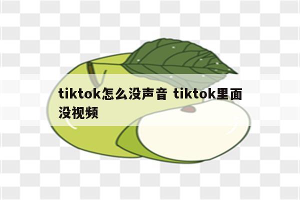 tiktok怎么没声音 tiktok里面没视频