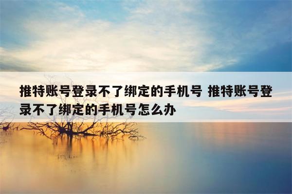 推特账号登录不了绑定的手机号 推特账号登录不了绑定的手机号怎么办