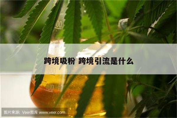 跨境吸粉 跨境引流是什么