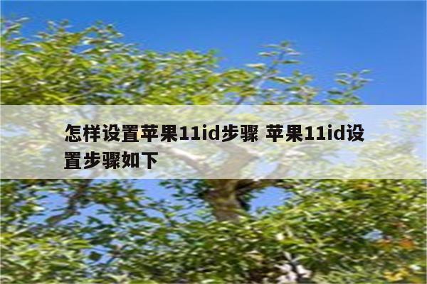 怎样设置苹果11id步骤 苹果11id设置步骤如下