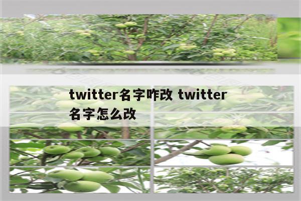 twitter名字咋改 twitter 名字怎么改