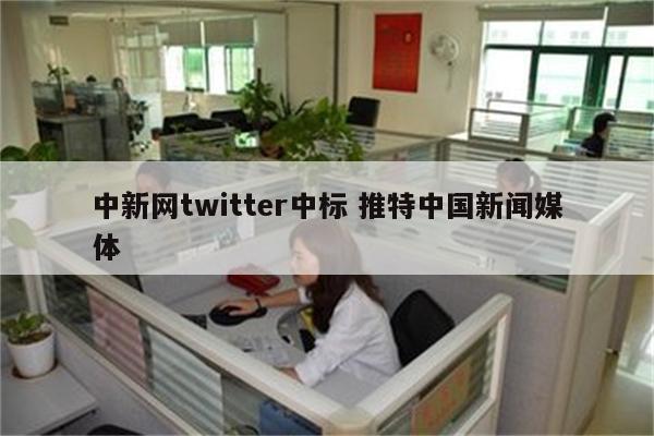 中新网twitter中标 推特中国新闻媒体