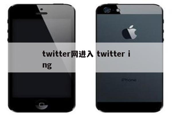 twitter网进入 twitter ing