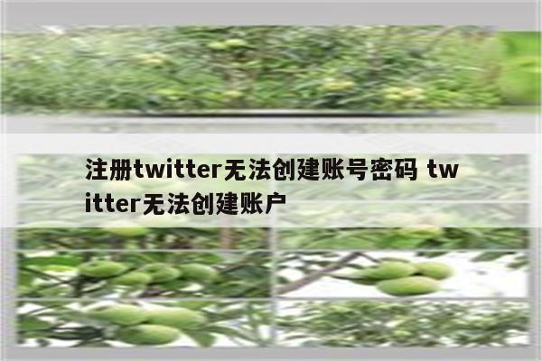 注册twitter无法创建账号密码 twitter无法创建账户