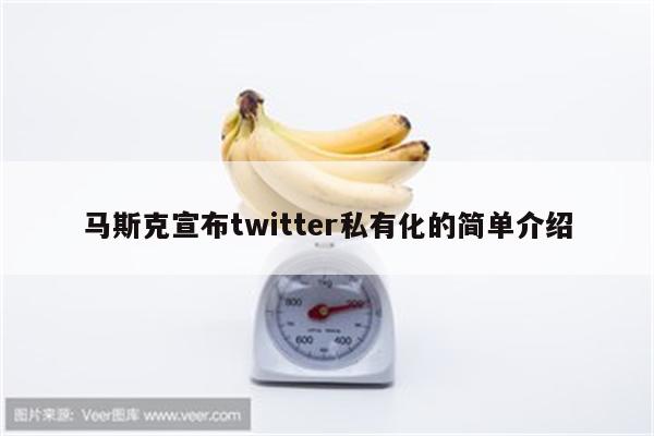 马斯克宣布twitter私有化的简单介绍