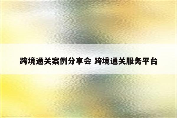 跨境通关案例分享会 跨境通关服务平台