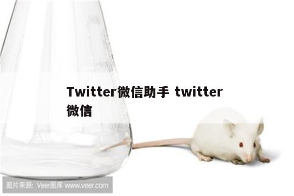 Twitter微信助手 twitter 微信