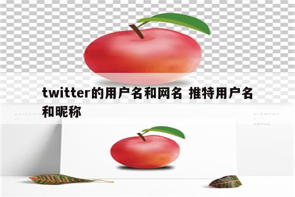 twitter的用户名和网名 推特用户名和昵称