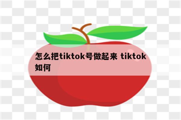 怎么把tiktok号做起来 tiktok如何