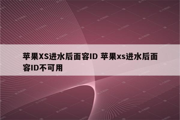 苹果XS进水后面容ID 苹果xs进水后面容ID不可用