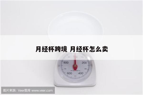 月经杯跨境 月经杯怎么卖