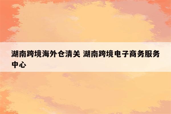 湖南跨境海外仓清关 湖南跨境电子商务服务中心