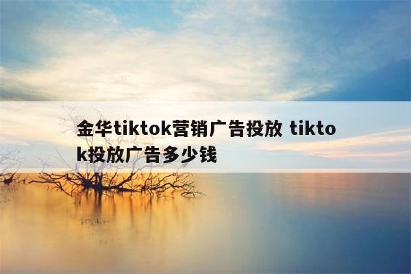 金华tiktok营销广告投放 tiktok投放广告多少钱