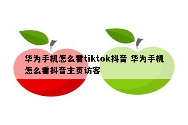 华为手机怎么看tiktok抖音 华为手机怎么看抖音主页访客