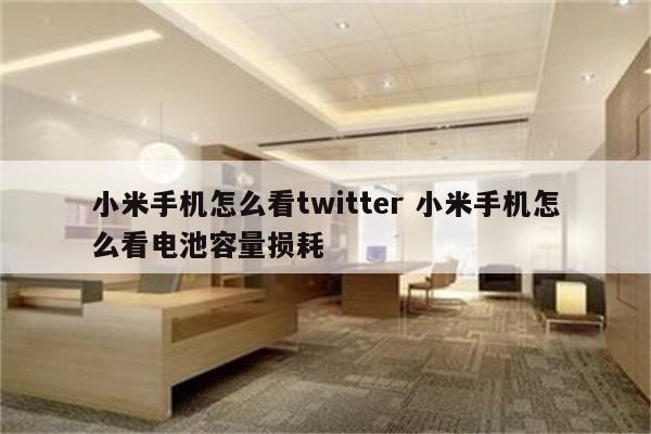 小米手机怎么看twitter 小米手机怎么看电池容量损耗