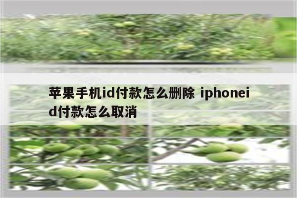 苹果手机id付款怎么删除 iphoneid付款怎么取消