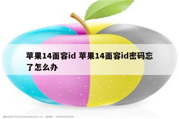 苹果14面容id 苹果14面容id密码忘了怎么办