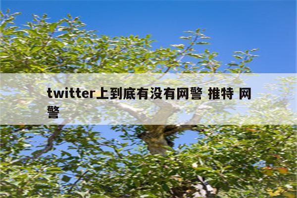 twitter上到底有没有网警 推特 网警