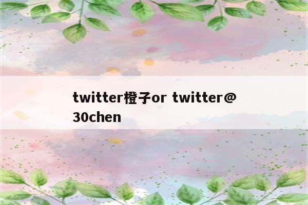 twitter橙子or twitter@30chen