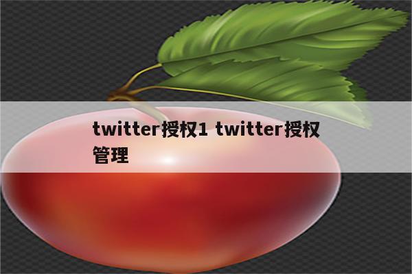 twitter授权1 twitter授权管理