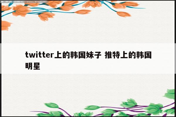 twitter上的韩国妹子 推特上的韩国明星