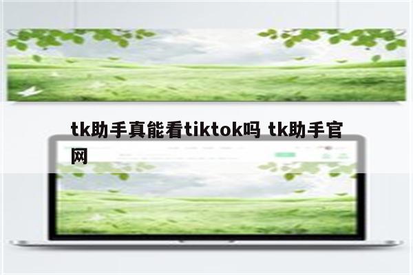 tk助手真能看tiktok吗 tk助手官网