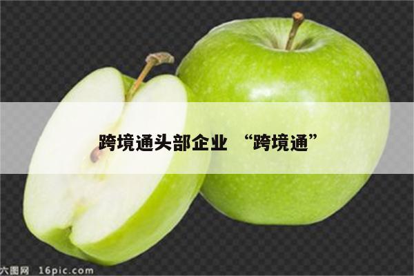 跨境通头部企业 “跨境通”