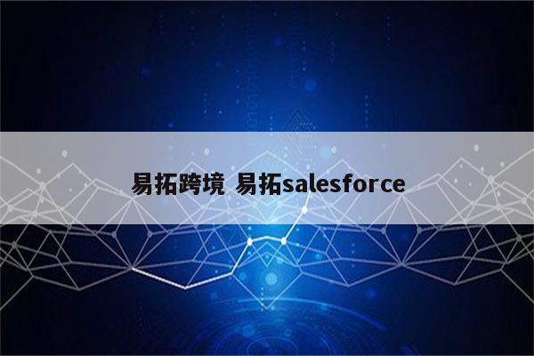 易拓跨境 易拓salesforce