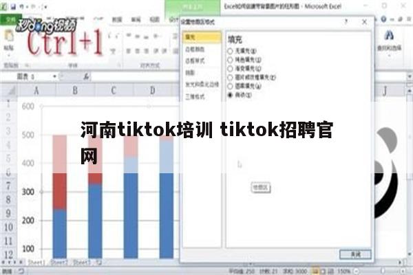 河南tiktok培训 tiktok招聘官网