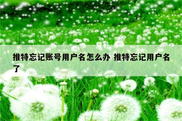 推特忘记账号用户名怎么办 推特忘记用户名了