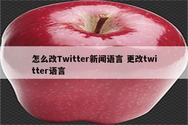 怎么改Twitter新闻语言 更改twitter语言