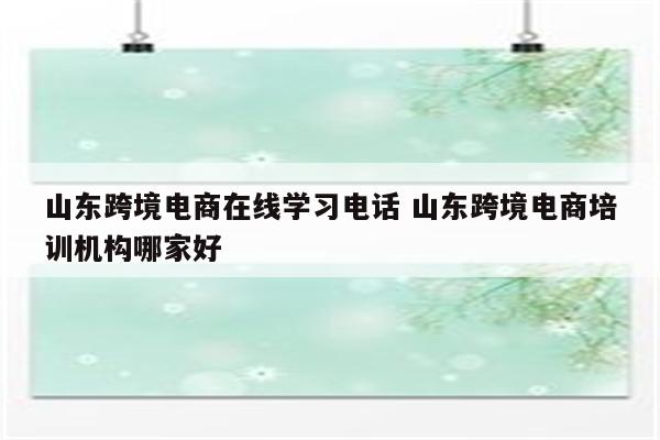 山东跨境电商在线学习电话 山东跨境电商培训机构哪家好