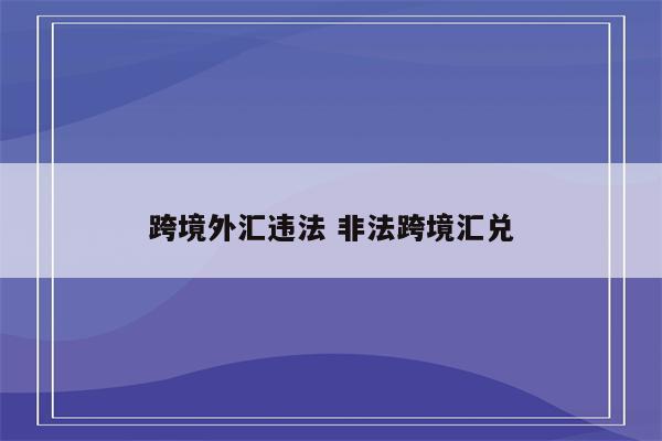 跨境外汇违法 非法跨境汇兑