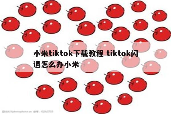 小米tiktok下载教程 tiktok闪退怎么办小米