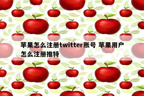 苹果怎么注册twitter账号 苹果用户怎么注册推特