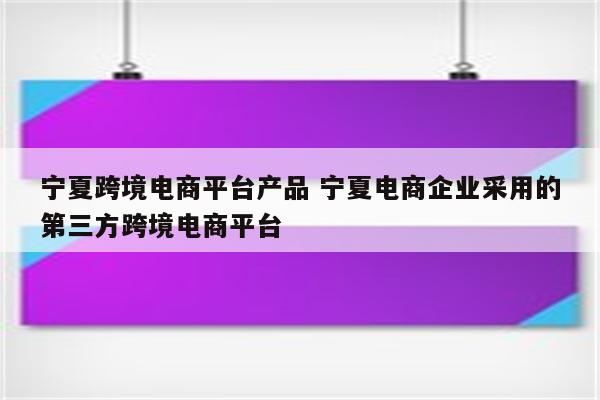 宁夏跨境电商平台产品 宁夏电商企业采用的第三方跨境电商平台